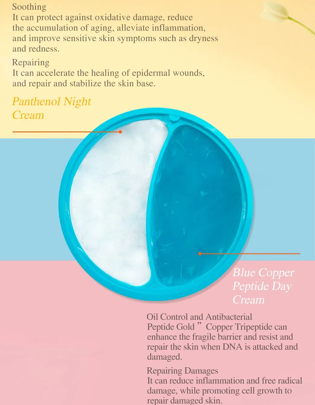 早(zao)晚霜詳情_15